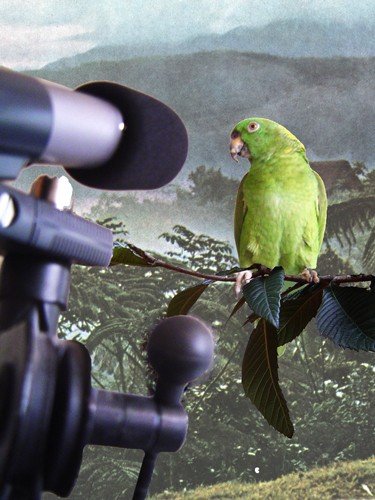 Planet rescue with Lord B